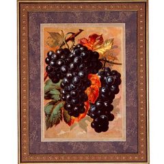 3100 2014 Grapes – Early Ohio