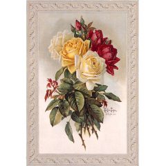 3100 2550 Royal Roses – bny Paul de Longpre
