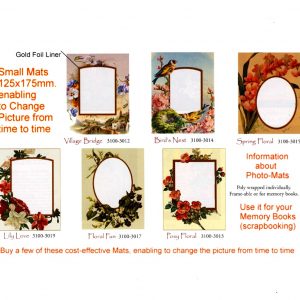 3341 3015 Mirror – Wild Flowers