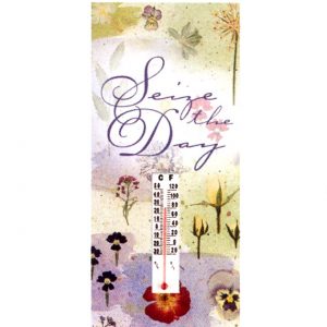 6235 0015 Thermometer