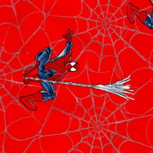 Wrap 11 Spider-man Wrapping paper